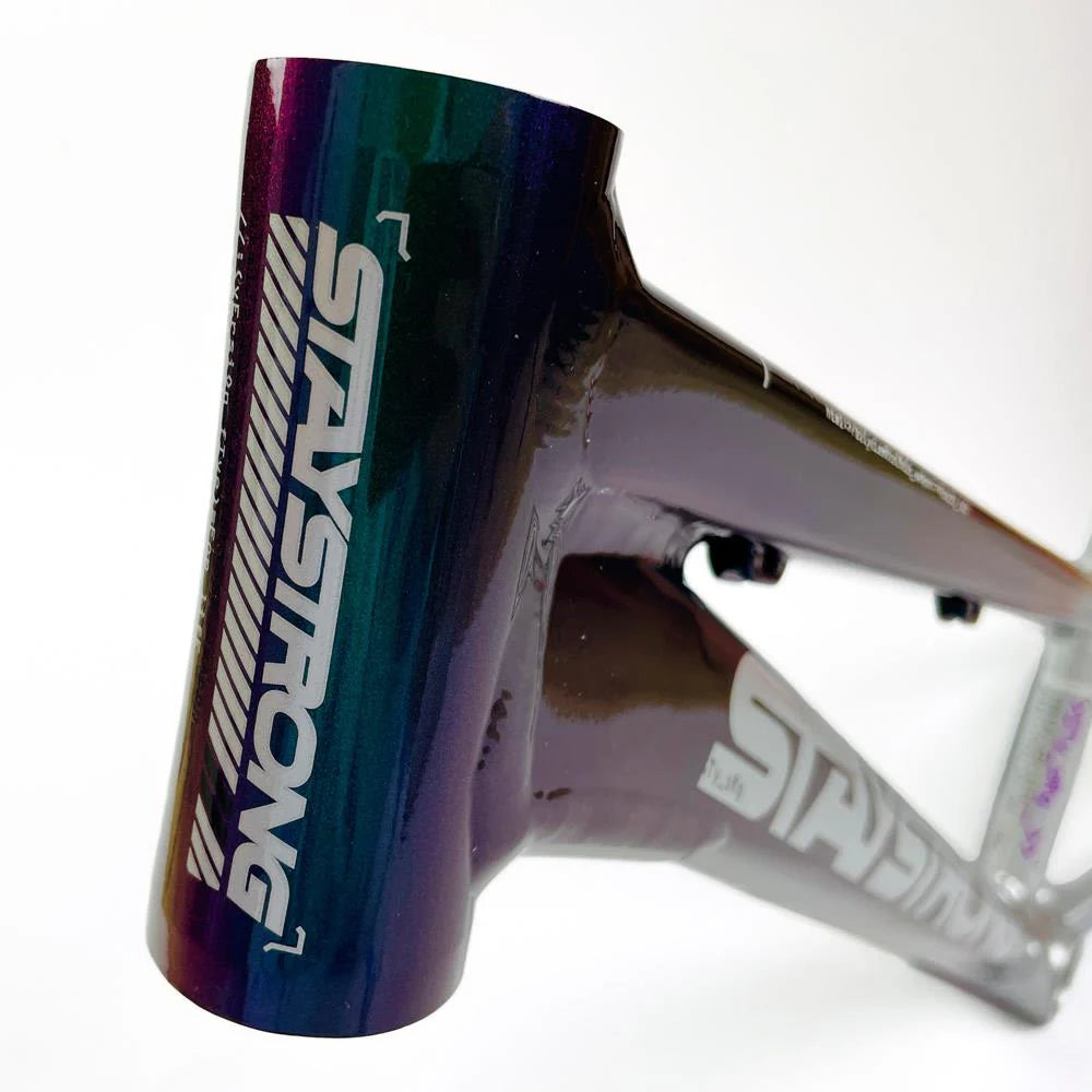 STAYSTRONG FOR LIFE 2024 V5 RACE FRAME ON SALE NOW