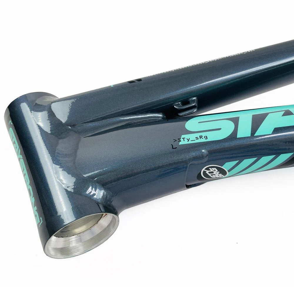 STAYSTRONG FOR LIFE 2024 V5 RACE FRAME ON SALE NOW