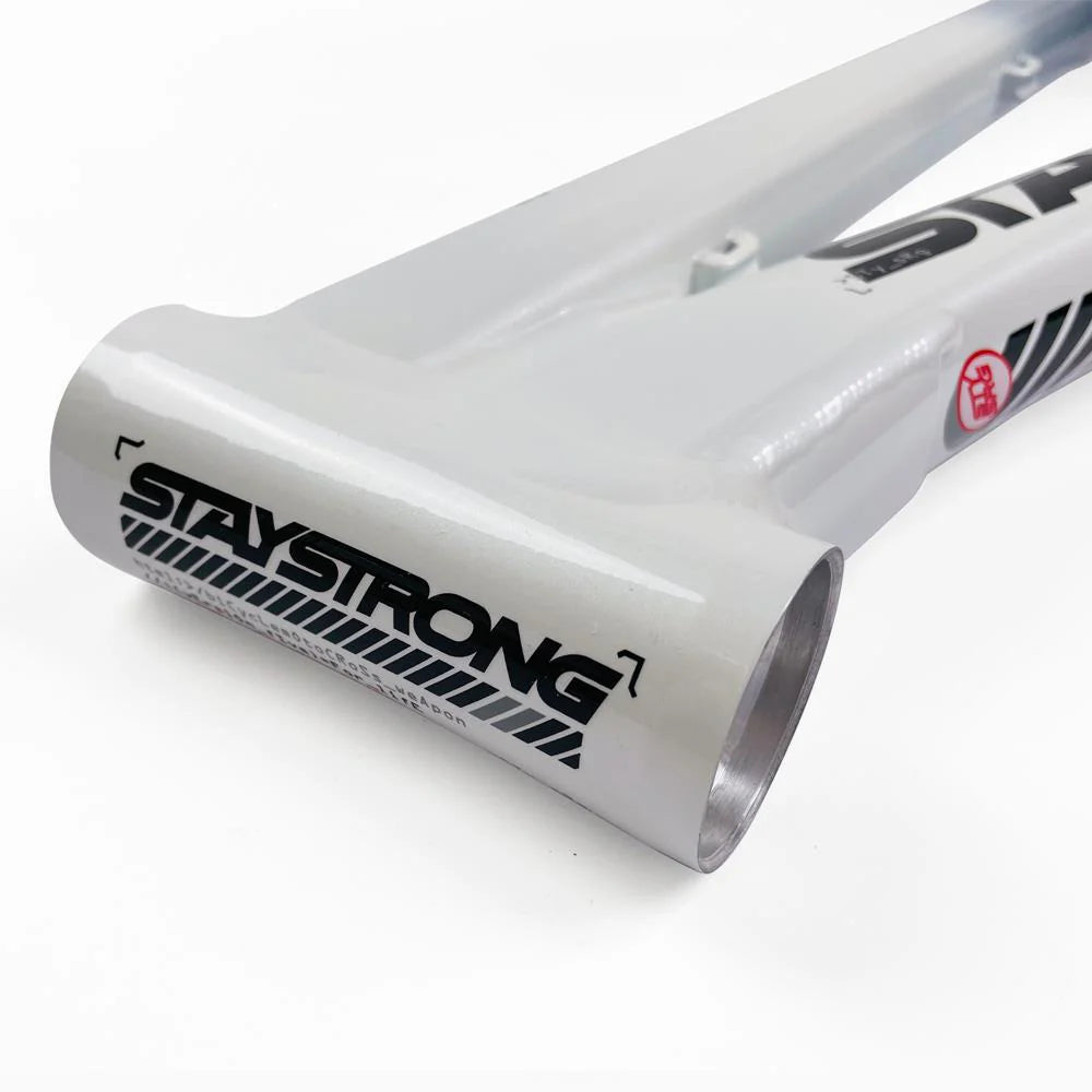 STAYSTRONG FOR LIFE 2024 V5 RACE FRAME ON SALE NOW