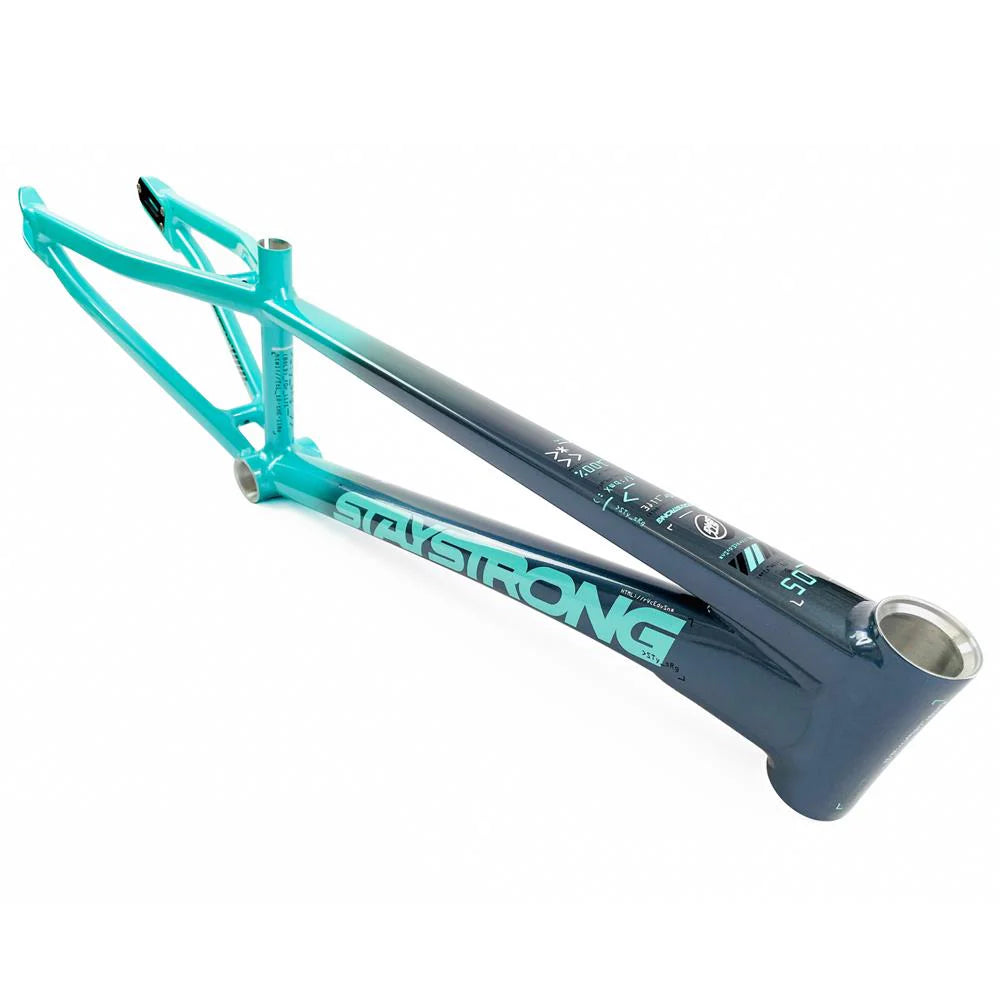 STAYSTRONG FOR LIFE 2024 V5 RACE FRAME ON SALE NOW